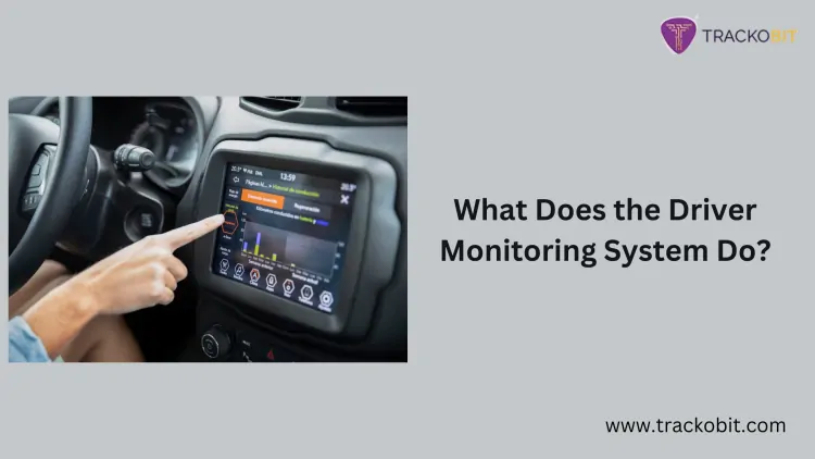 What Does the Driver Monitoring System Do?