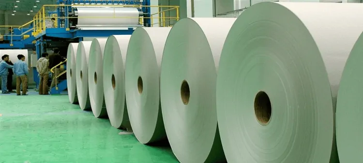 How Hansol Thermal Paper Rolls Importers Support Businesses in High-Demand Seasons