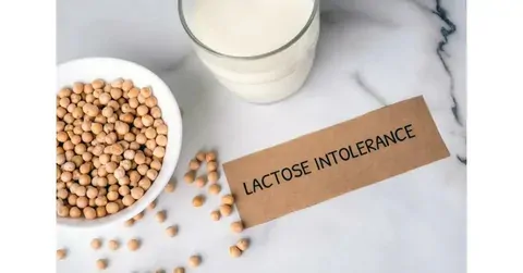 Lactose Intolerance: What Dairy Alternatives Can You Choose?