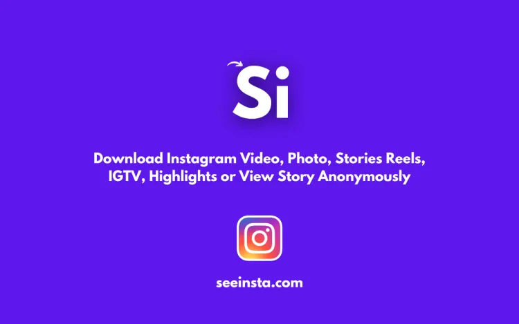 Instagram Story Video and Reel Downloader | seeinsta.com