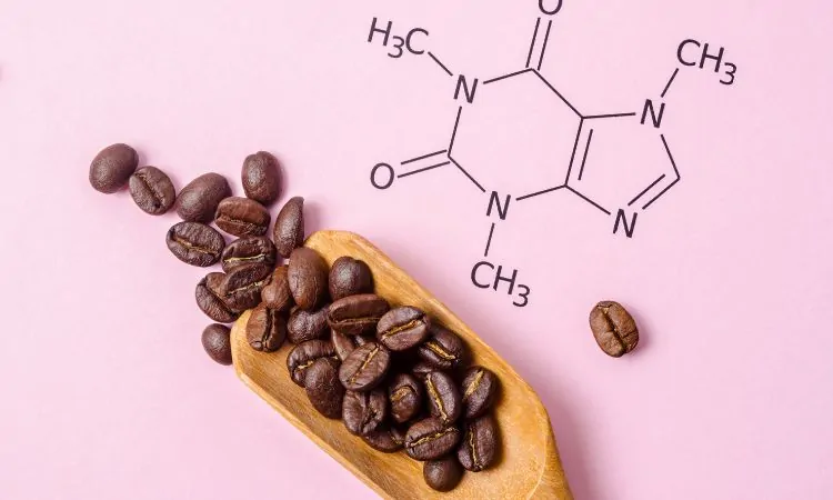 Anhydrous Caffeine Market Trends, Growth & Insights | 2032