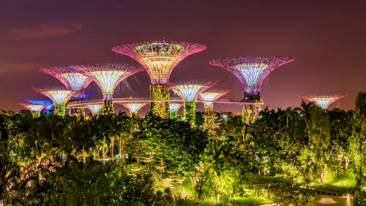 Discover Singapore: 15 Must-Do Experiences with Tripkaro