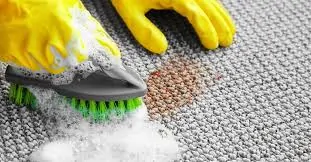 Quick and Easy Carpet Cleaning Tips for Every Type of Carpet