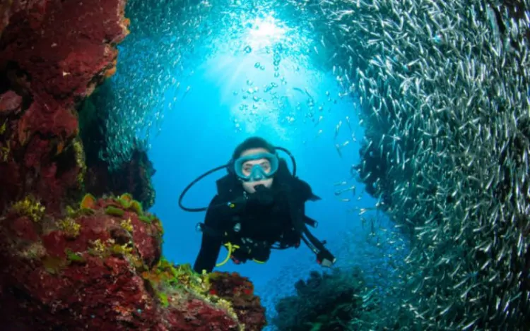 Top Scuba Diving Spots in Dubai for an Unforgettable Experience