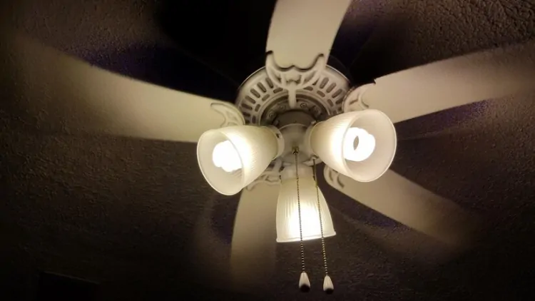 Choosing the Right Size Ceiling Fan for Your Restaurant’s Layout and Design