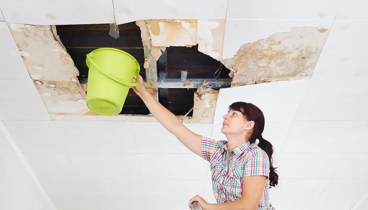 Water Damage Restoration: Essential Information for Lafayette Homeowners