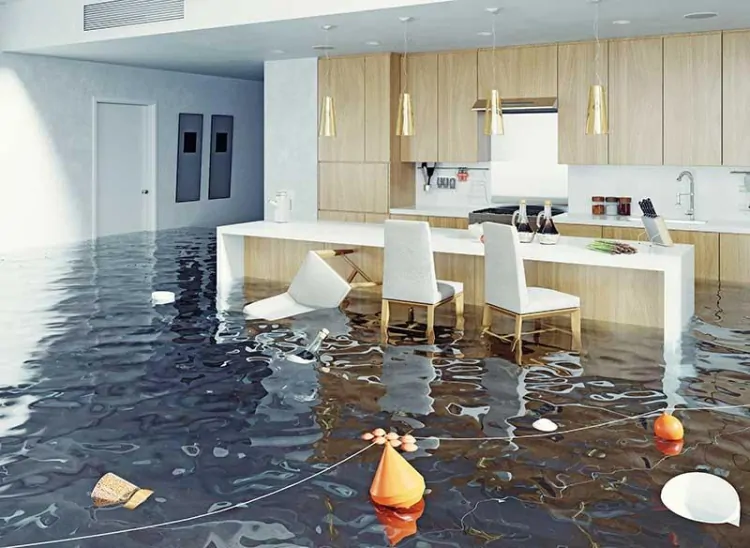 Water Damage Restoration San Mateo: What Homeowners Need to Know