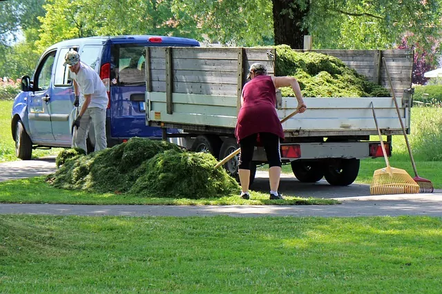 Professional Garden Landscaping in Auckland – Let Your Outdoors Shine!