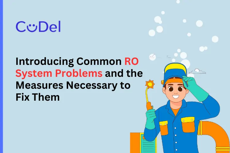 Introducing Common RO System Problems and the Measures Necessary to Fix Them